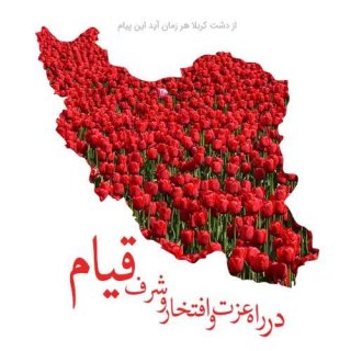 تولدی دوباره